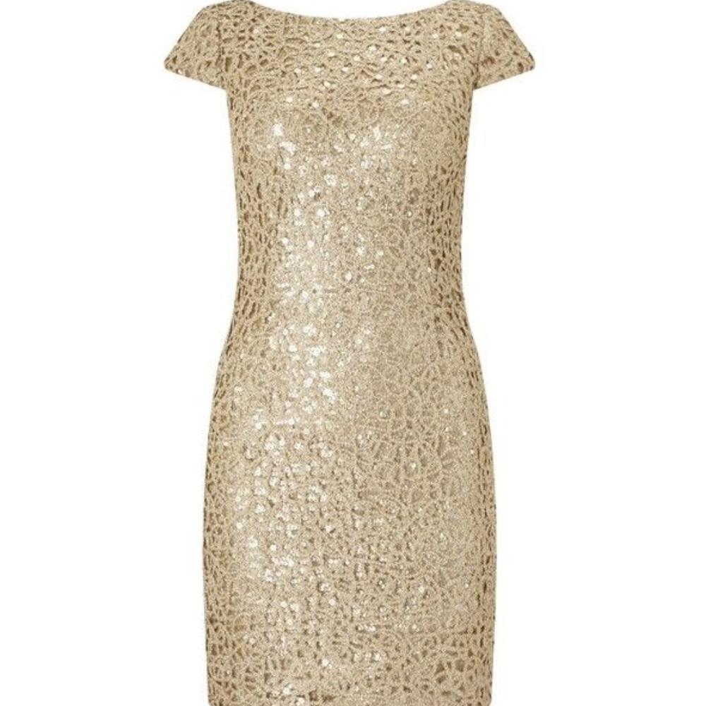 Adrianna Papell Sequin Chemical Lace Dress